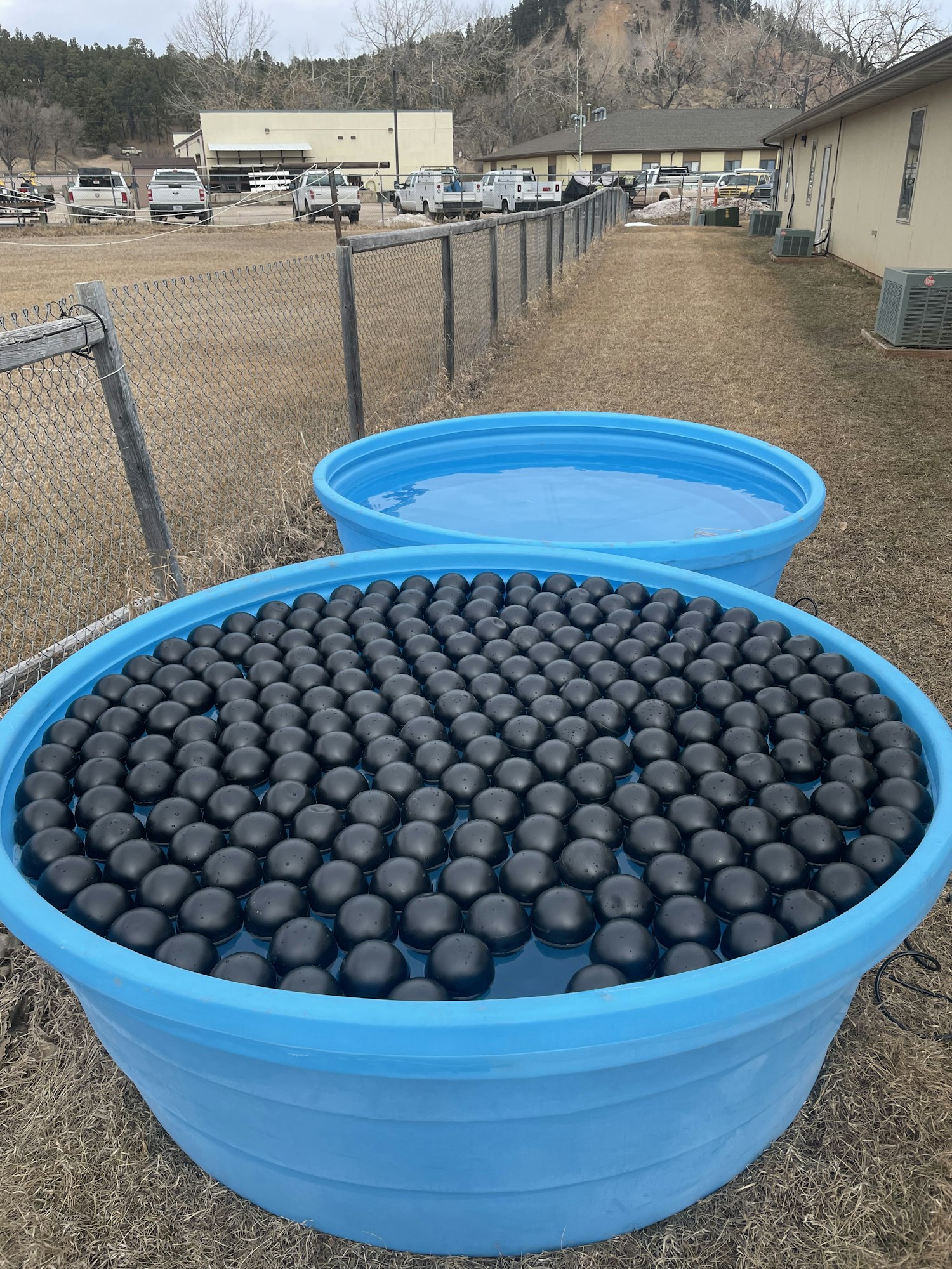 Two large blue kiddie pools filled with black balls outside, possibly for evaporation control. Image is sideways.