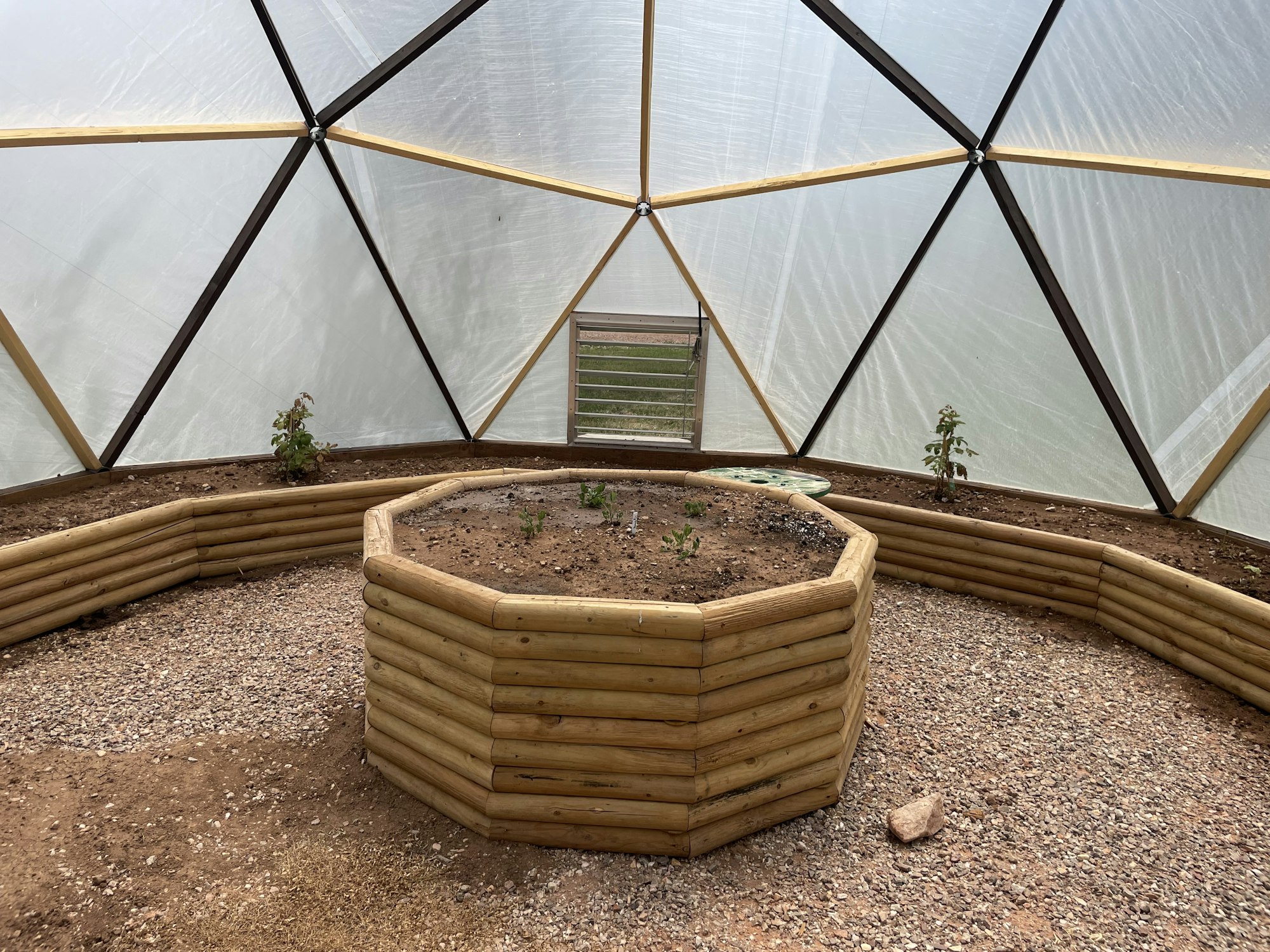 A geodesic dome greenhouse with a raised garden bed and young plants inside.