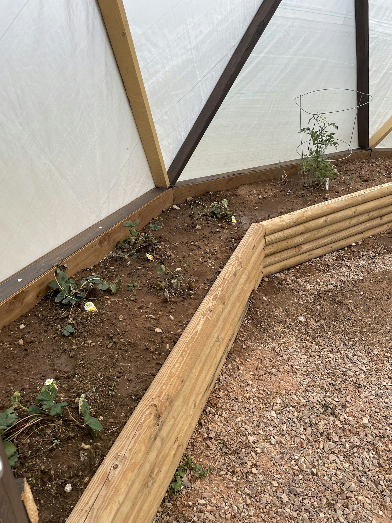 Raised garden bed with plants, surrounded by gravel and wood borders.