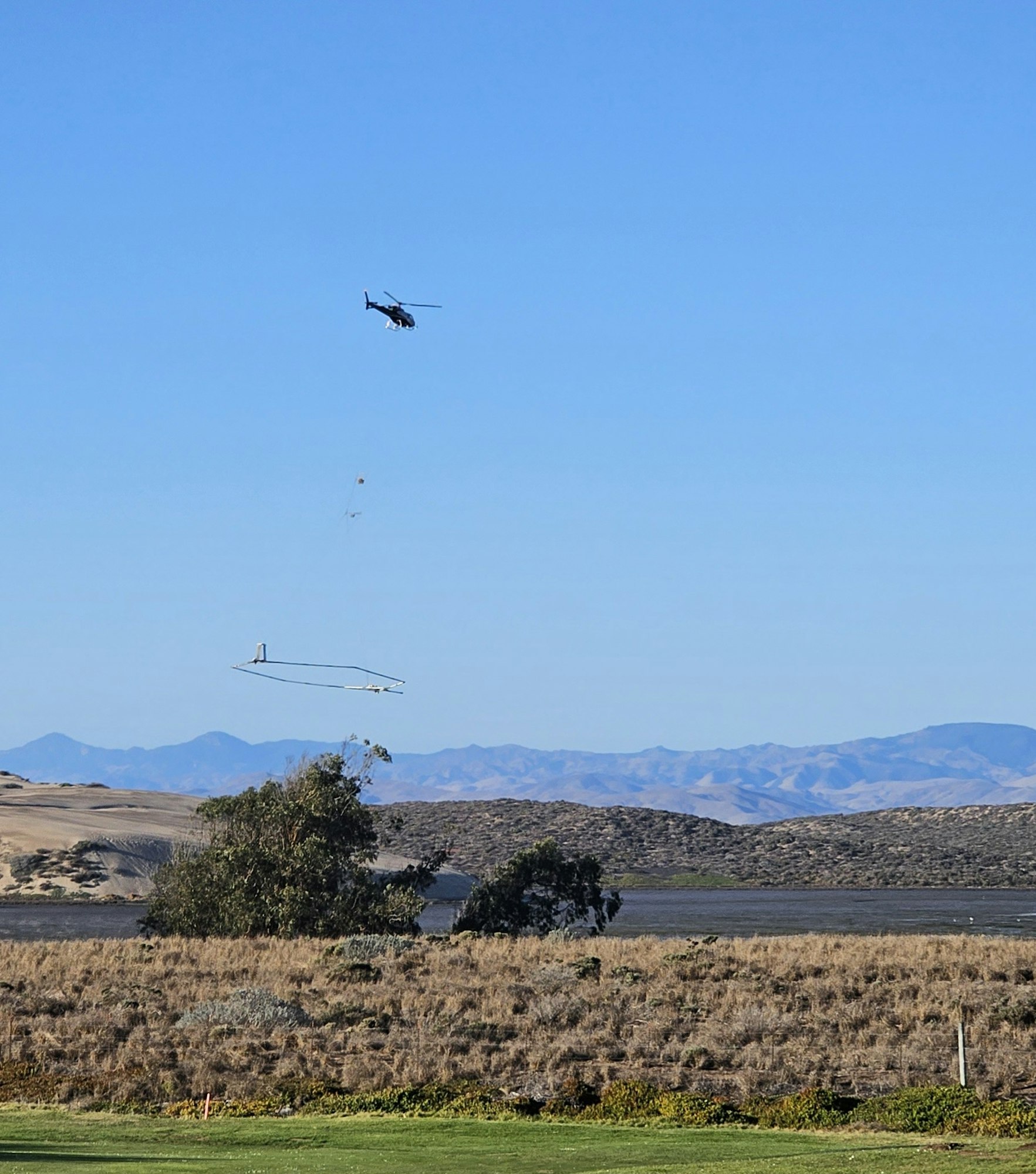 May contain: animal, bird, flying, aircraft, helicopter, transportation, and vehicle