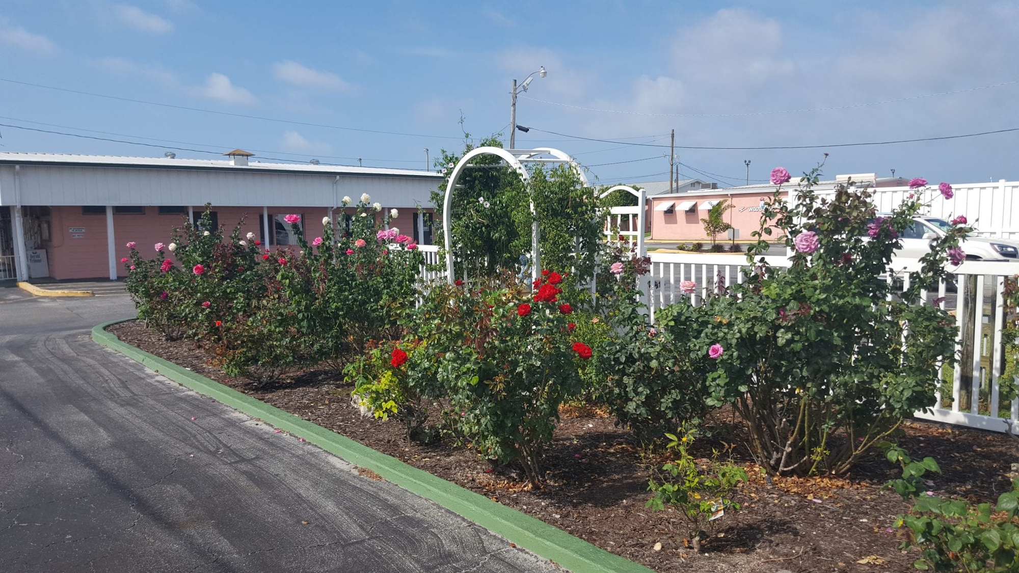 Picture of the Remembrance Rose Garden