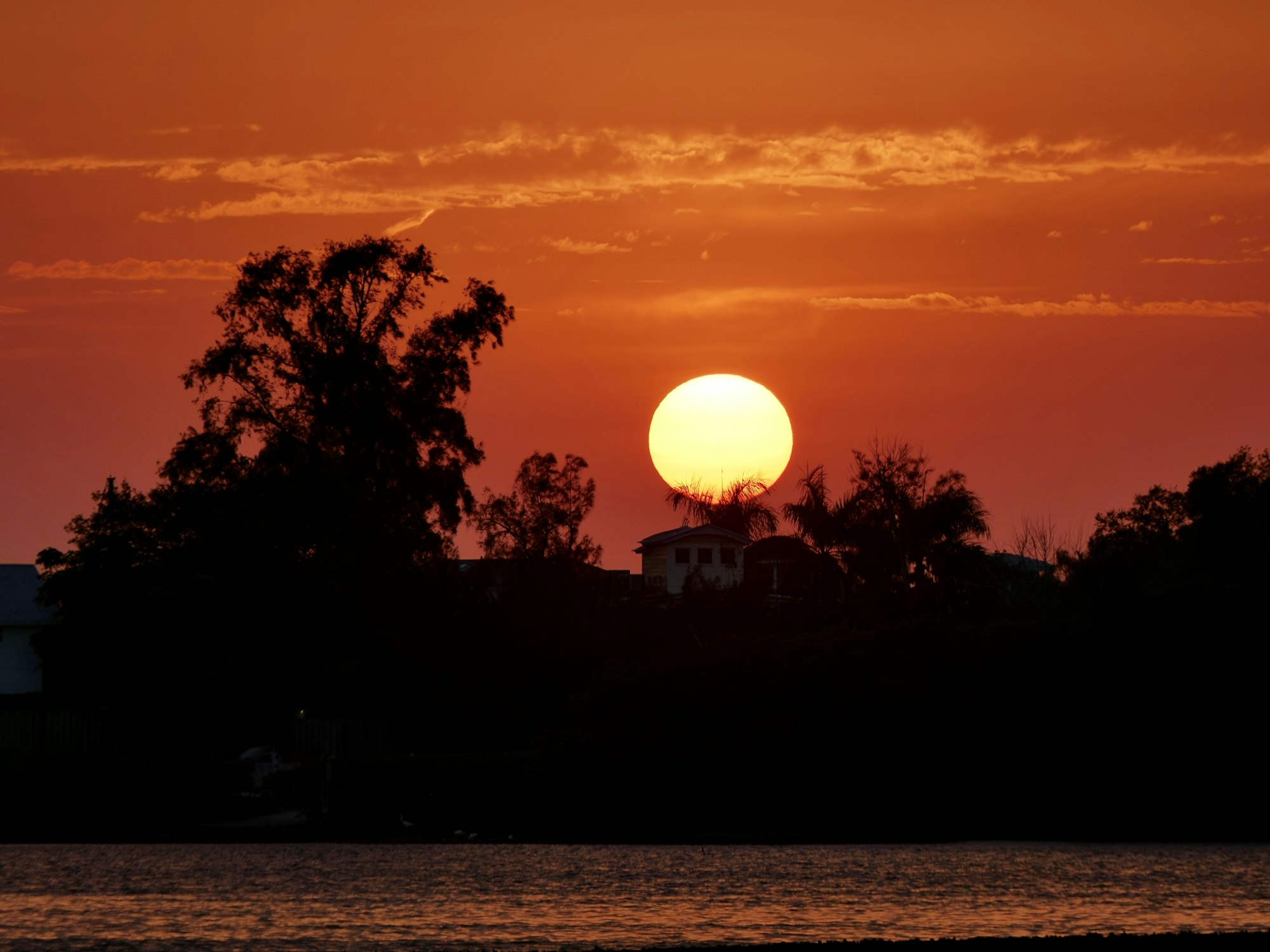 A vibrant sunset with a large sun near the horizon, silhouetted trees, water in the foreground, and buildings in the distance.
