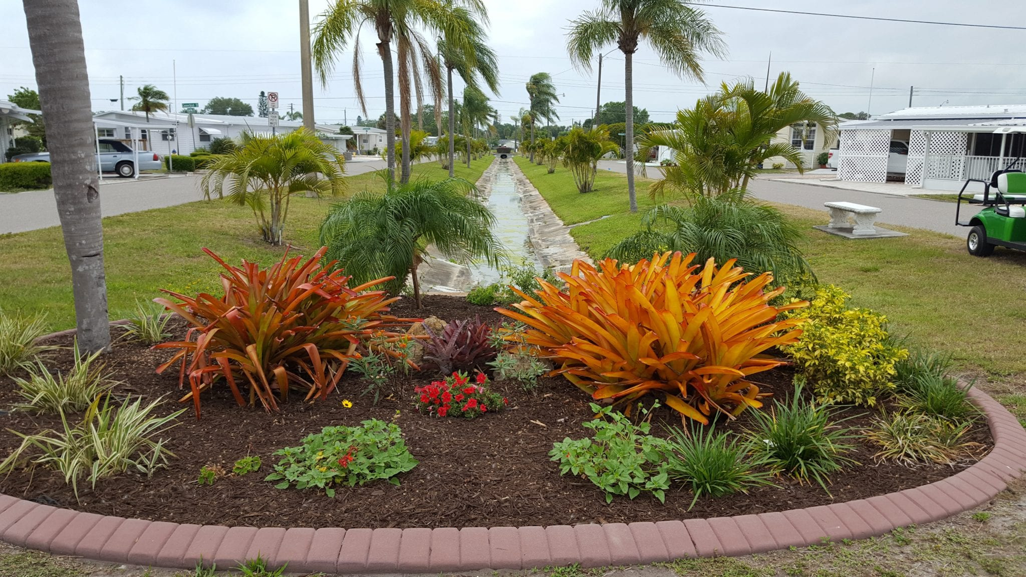 May contain: grass, plant, vegetation, nature, outdoors, park, summer, potted plant, path, palm tree, tree, soil, architecture, building, shelter, sidewalk, garden, herbal, herbs, jar, planter, pottery, vase, backyard, yard, landscape, neighborhood, and walkway