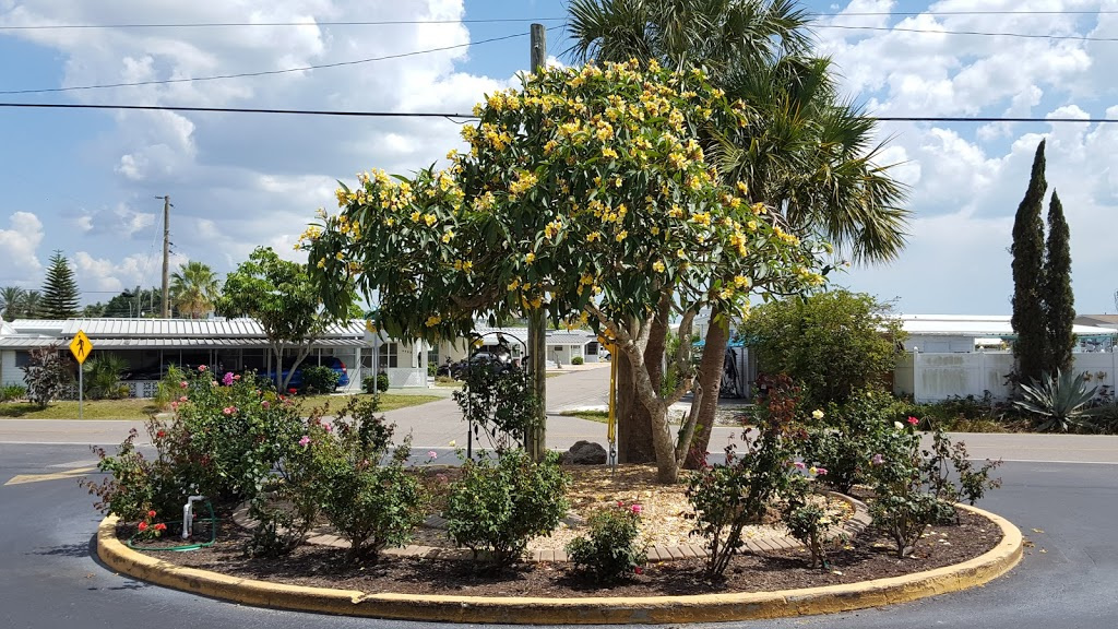 Picture of plantings in TE
