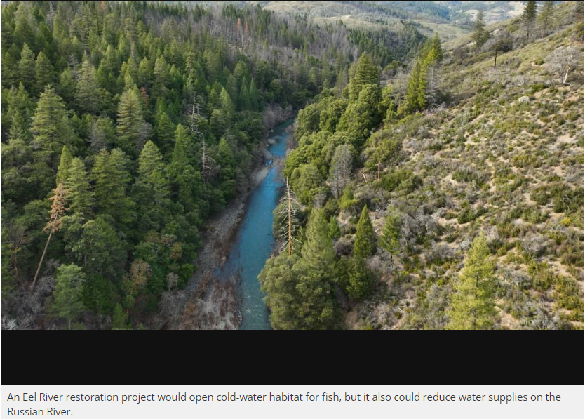 May contain: plant, vegetation, land, nature, outdoors, tree, woodland, water, aerial view, and river