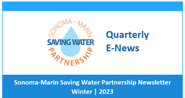 Newsletter logo