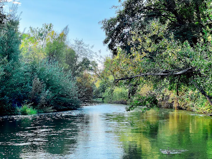 Ackerman Creek, October 2024 by CJ Watt