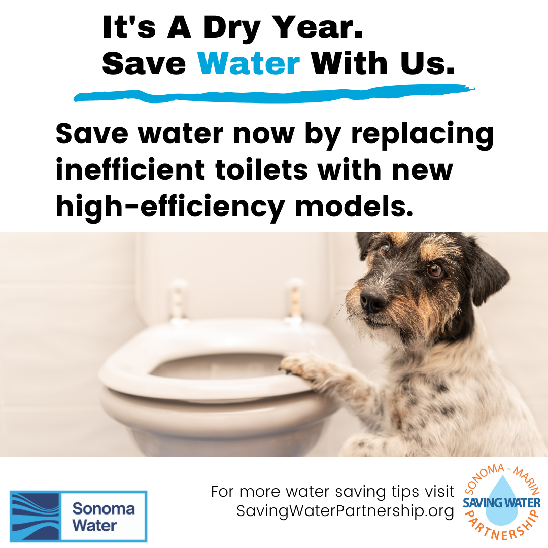 May contain: room, indoors, bathroom, toilet, dog, mammal, animal, canine, and pet