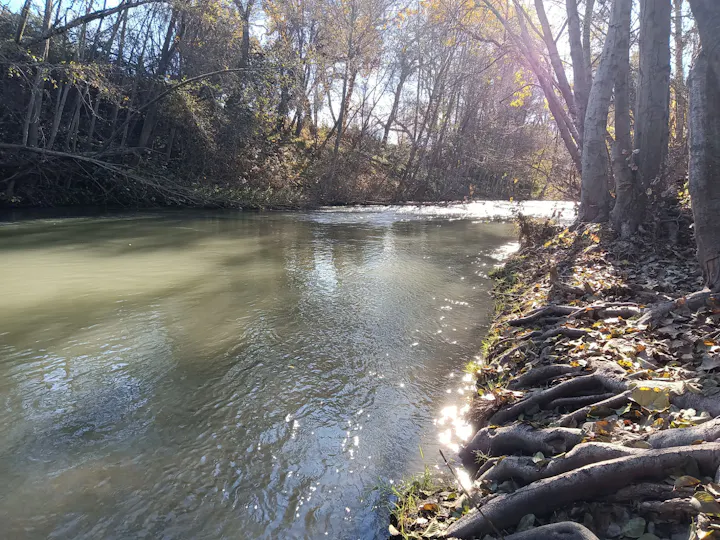 Russian River in Ukiah Valley, December 2025, by E Salomone
