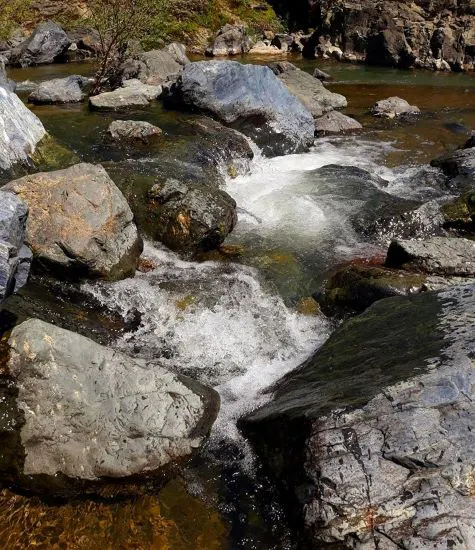 A serene river scene with clear water flowing over rocks, surrounded by greenery and natural formations.