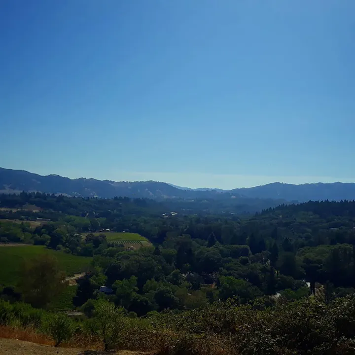 A scenic view of rolling hills and vineyards under a clear blue sky, showcasing lush greenery and distant mountains.