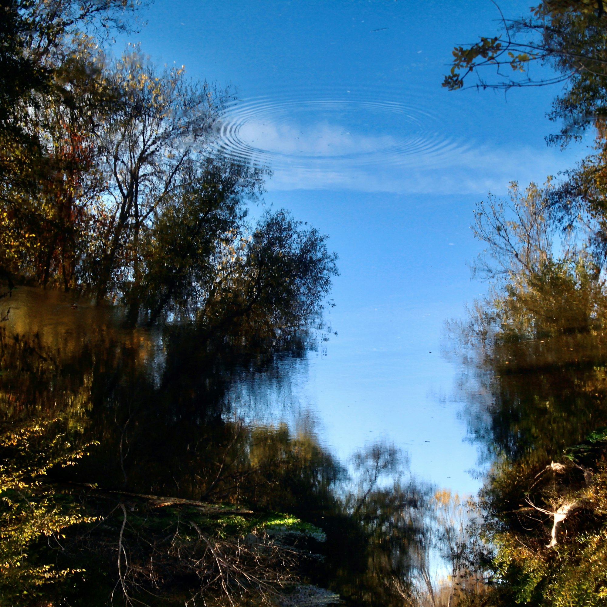 Russian River near Hopland in September 2022 by CJ Watt
