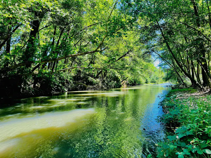 Russian River at Riverside Park, June 2024 by CJ Watt