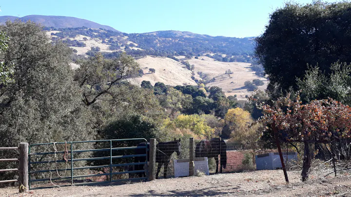 2019, 11-19 Ukiah Valley area, by E Salomone