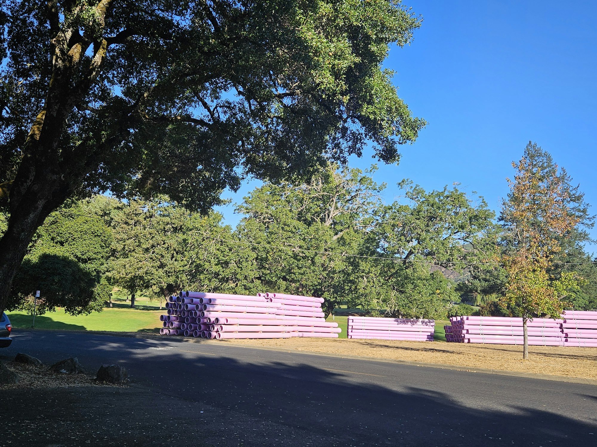 Purple pipes