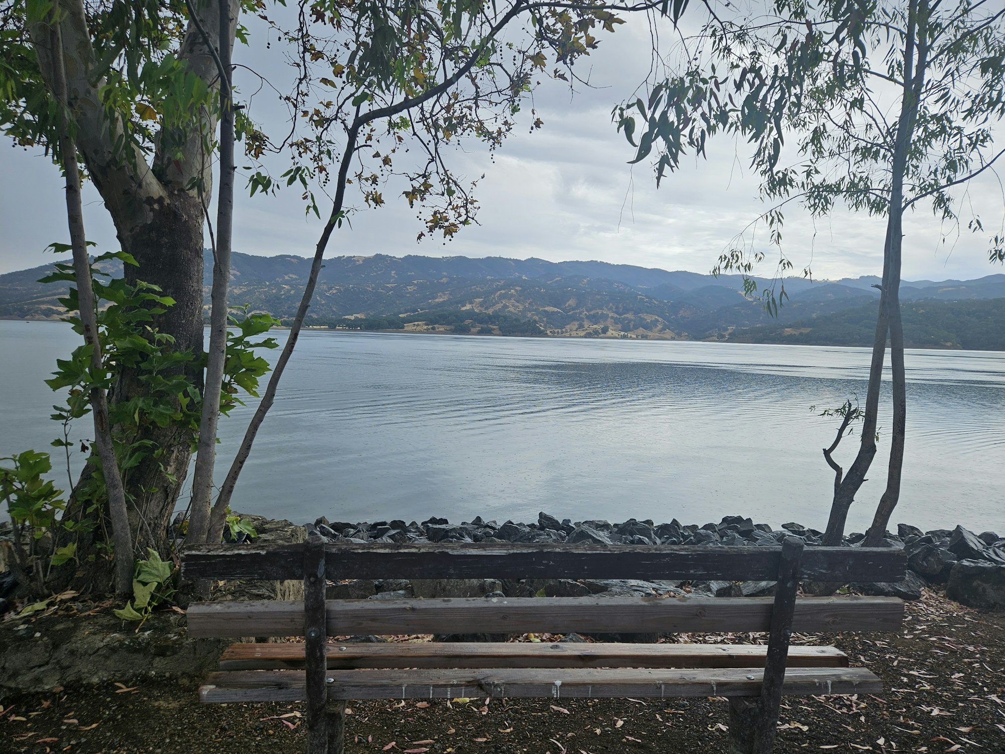 July rain at south Lake Mendocino, July 2026 by E Salomone