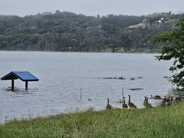 Lake Mendocino, May 16, 2024 E Salomone