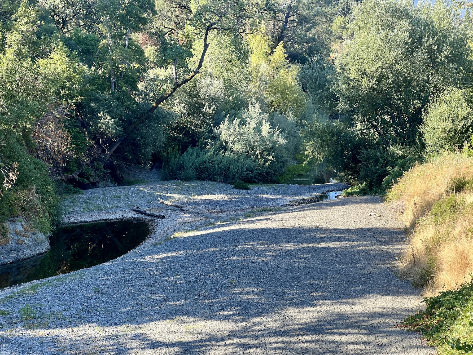 West Fork Russian River by CJW, August 2025
