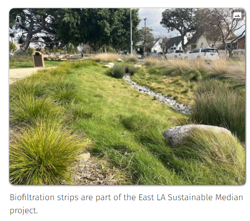 Biofiltration strips are part of the East LA Sustainable Median project.