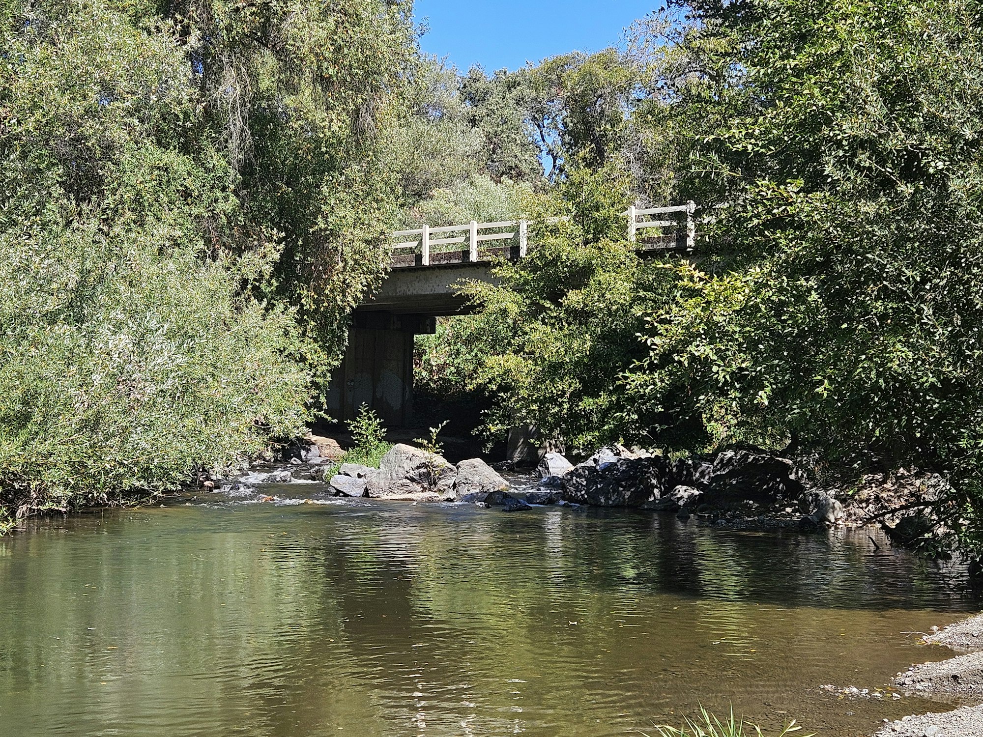East Fork Russian River in Potter Valley, September 2025 by E Salomone