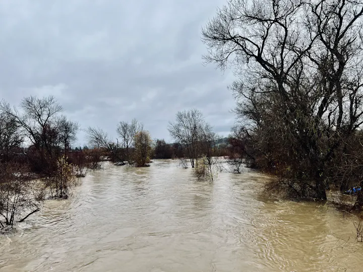 Russian River at Riverside Park on December 14, 2024 by CJ Watt