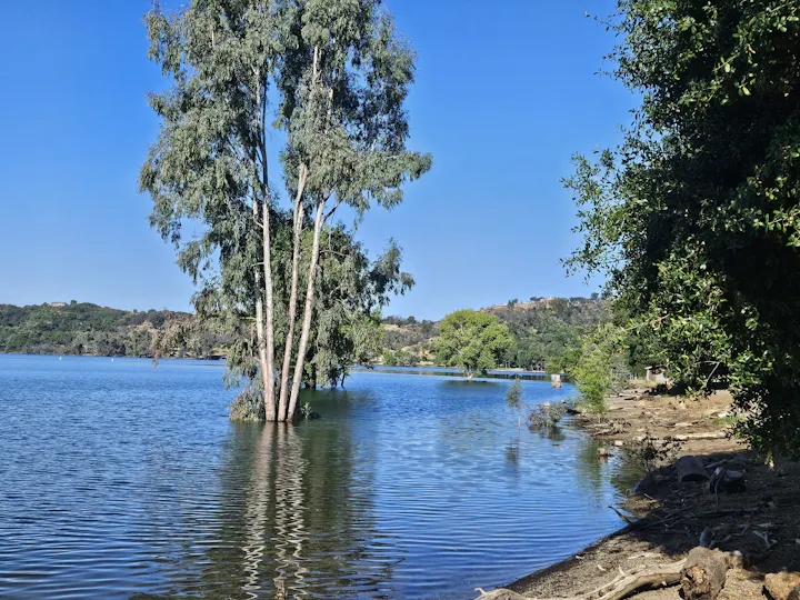 Lake Mendocino, June 2025 by E Salomone
