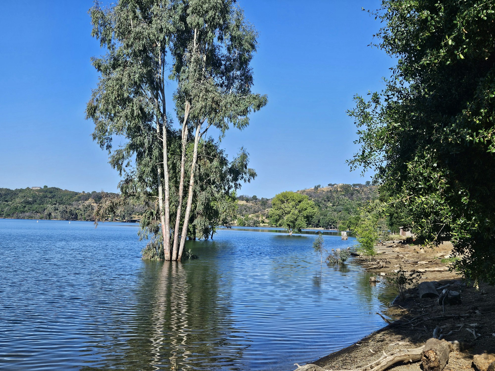 Lake Mendocino, June 2025 by E Salomone