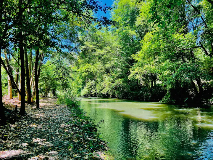 Russian River at Riverside Park, June 30, 2024 by CJ Watt