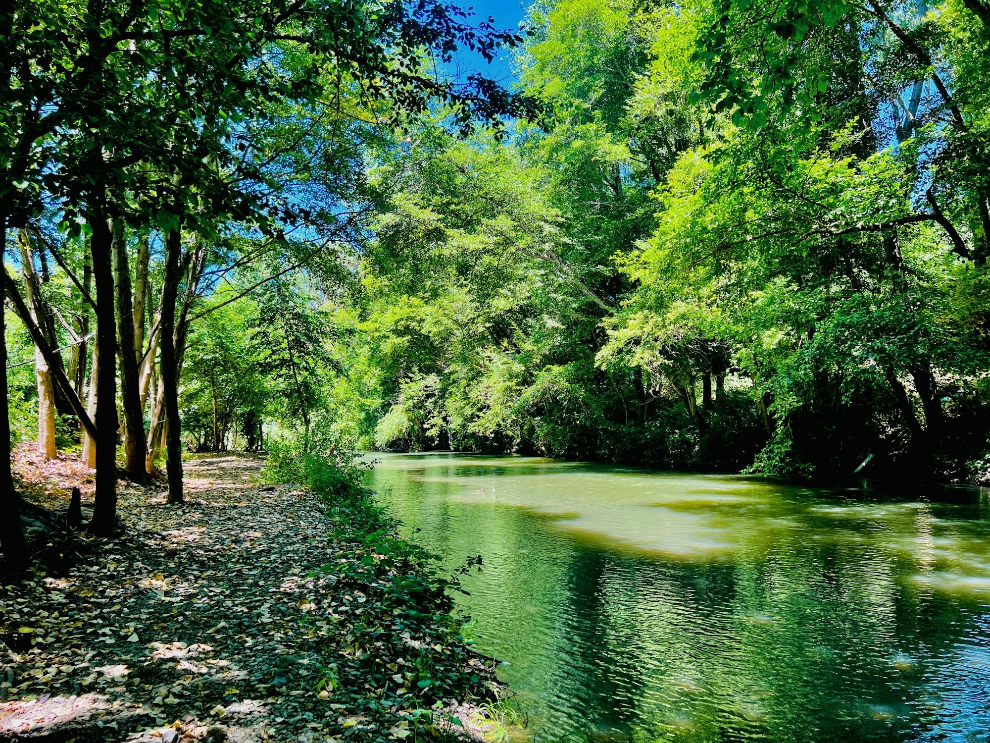 Russian River at Riverside Park, June 30, 2024 by CJ Watt