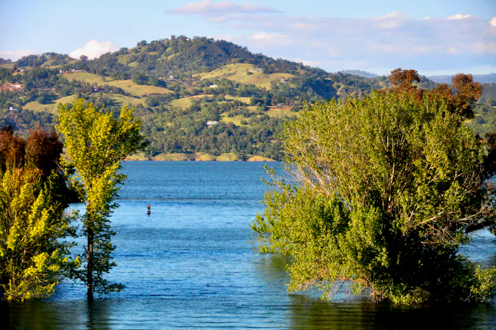 Lake Mendocino, April 2025, by CJ Watt