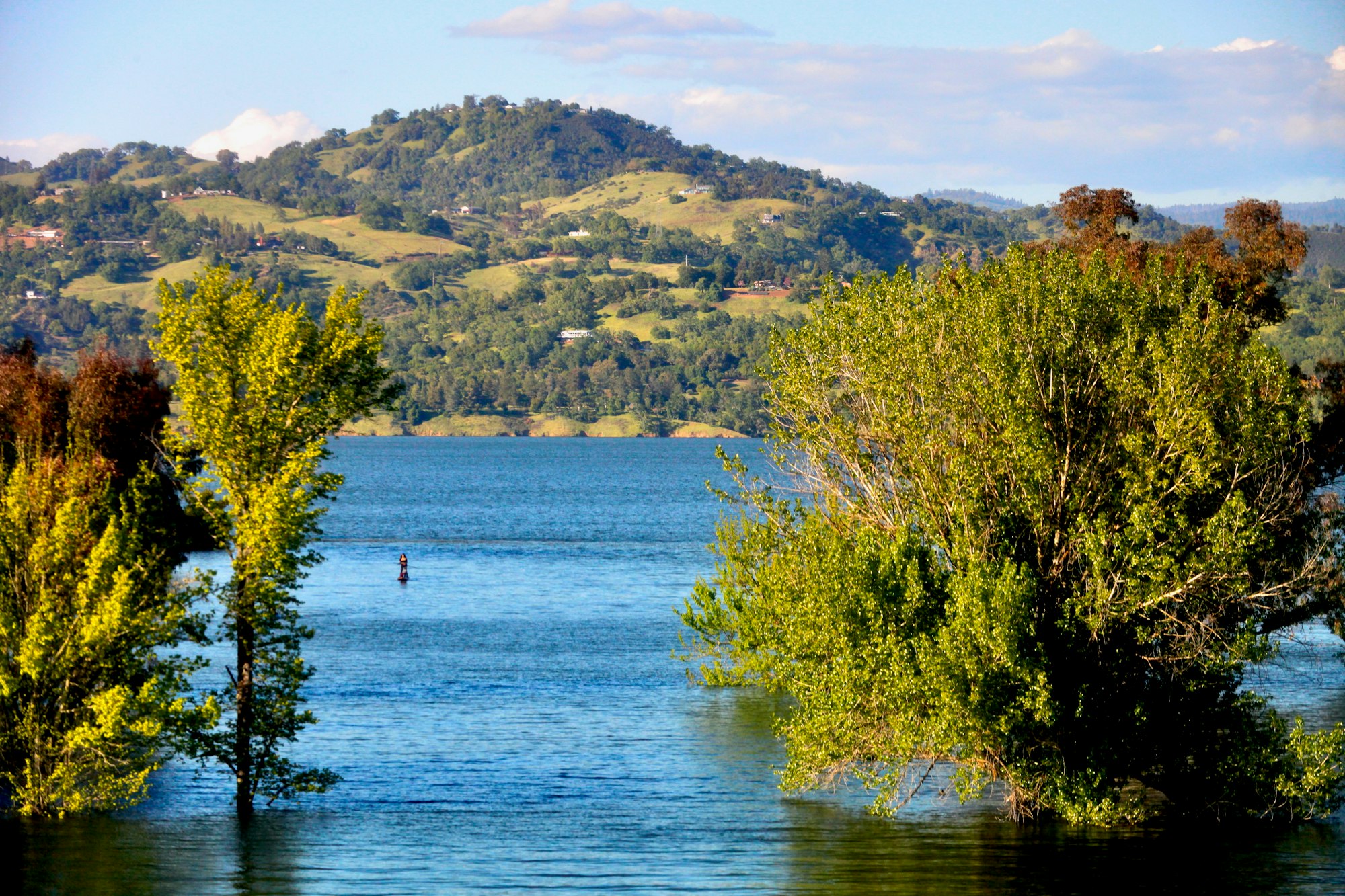 Lake Mendocino, April 2025, by CJ Watt
