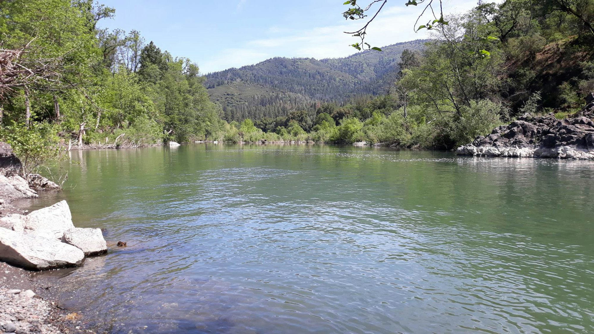 Eel River just below Cape Horn Dam on May 22, 2023 by ES Salomone