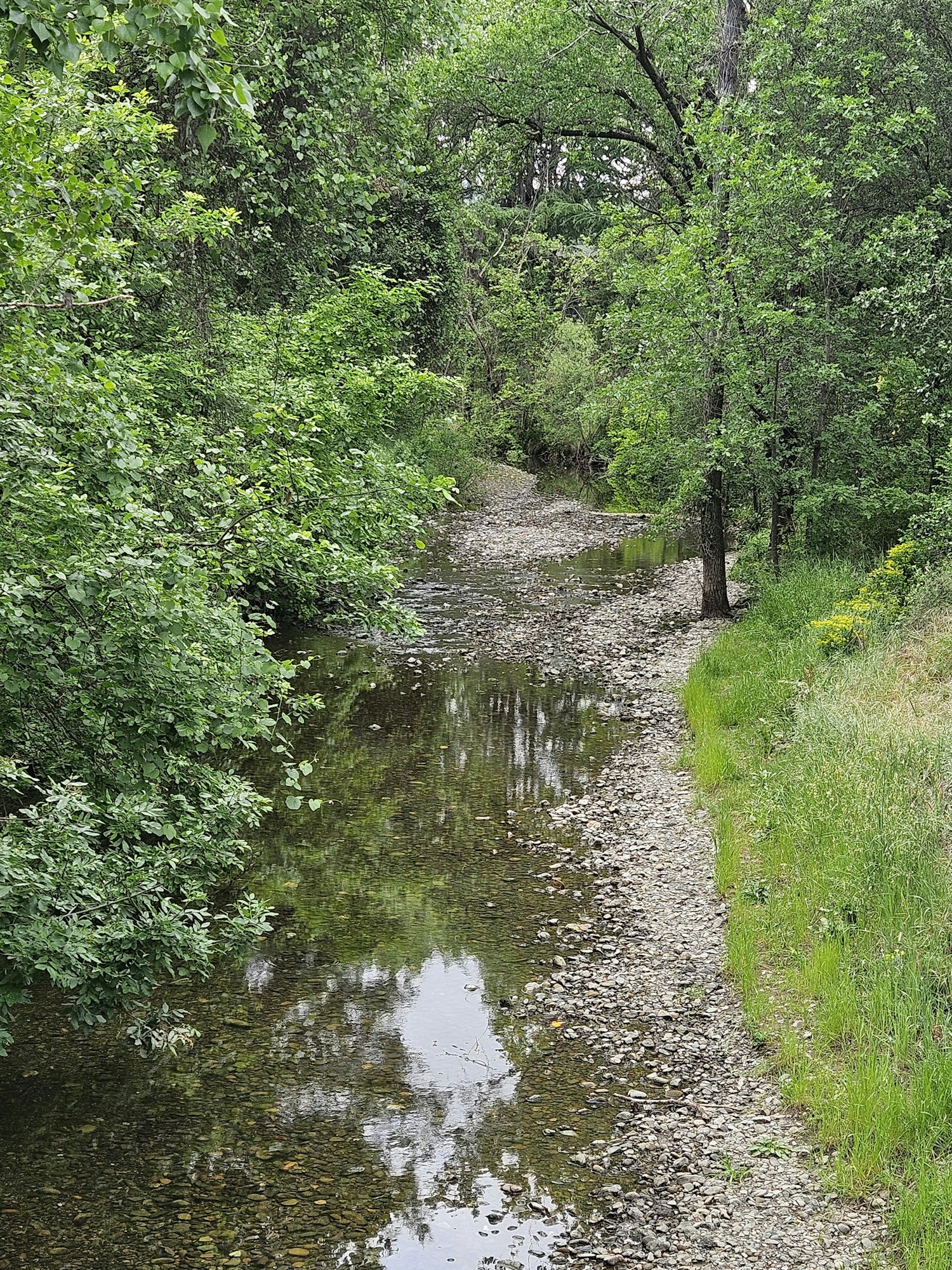May contain: creek, nature, outdoors, stream, water, gravel, road, path, trail, land, plant, vegetation, and wilderness