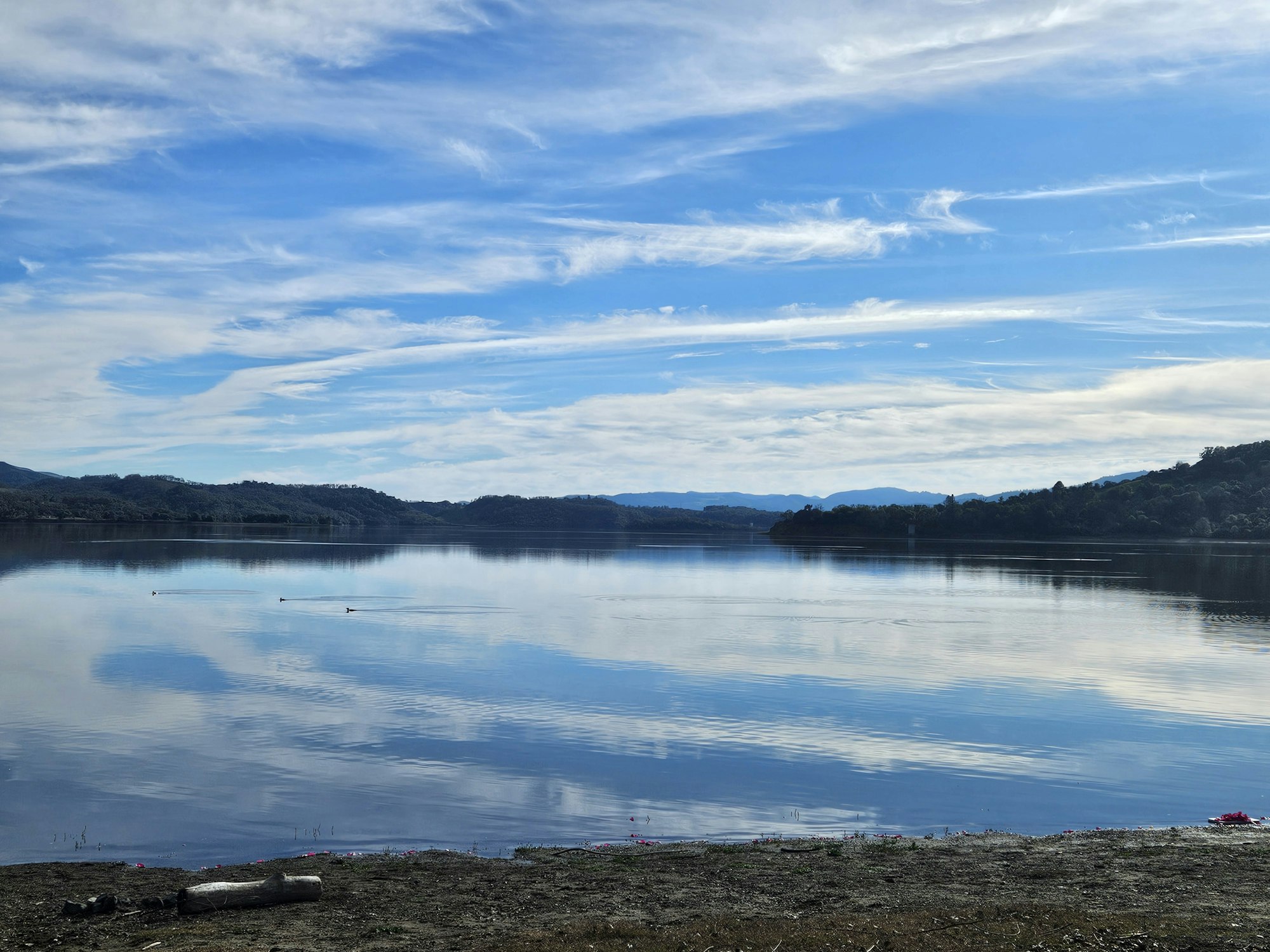 Lake Mendocino, January 17, 2026 by E Salomone