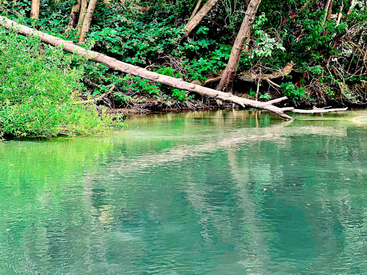 Russian River at Riverside Park, June 2024 by CJ Watt