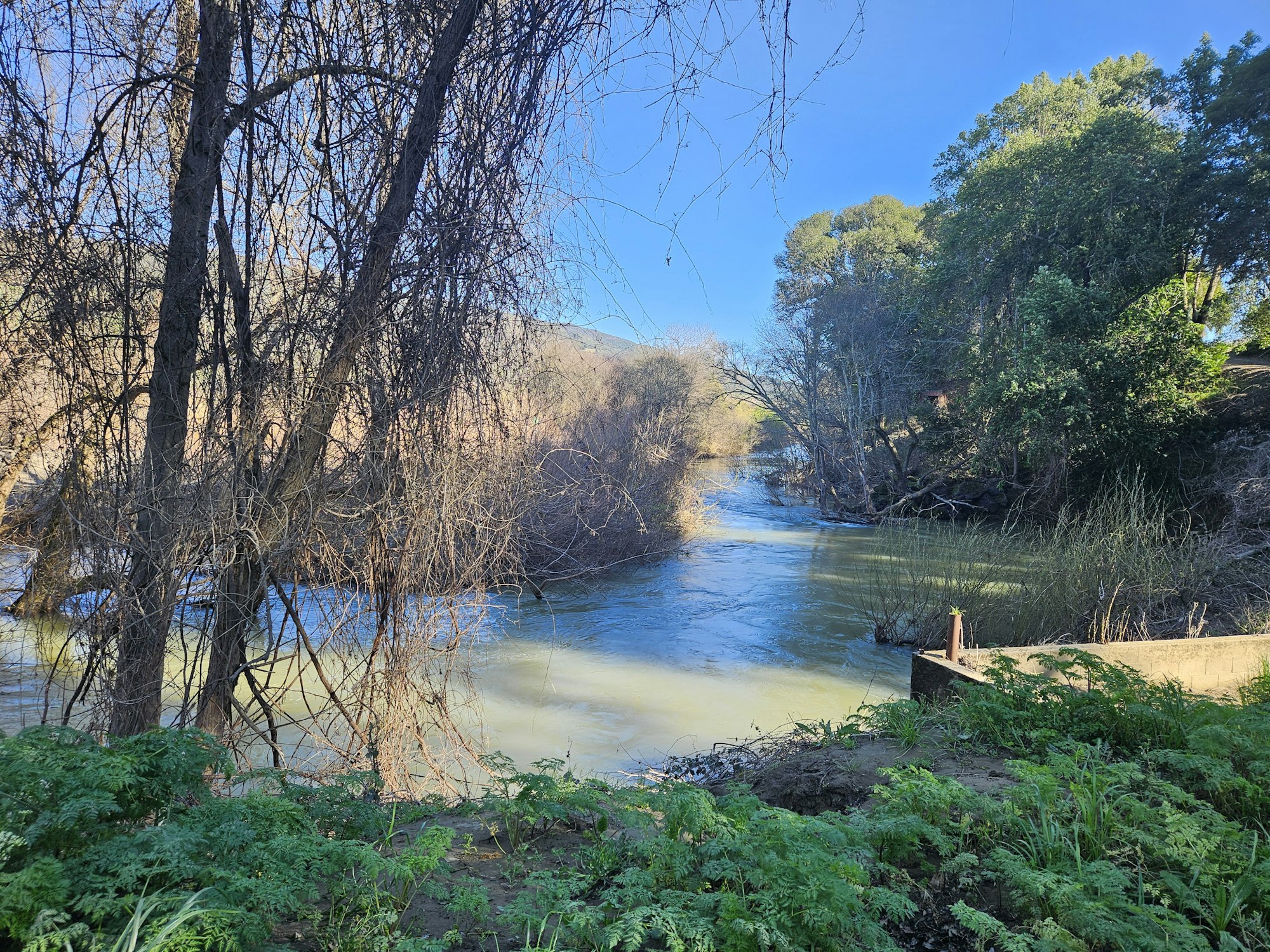 Russian River, March 2026 by E Salomone