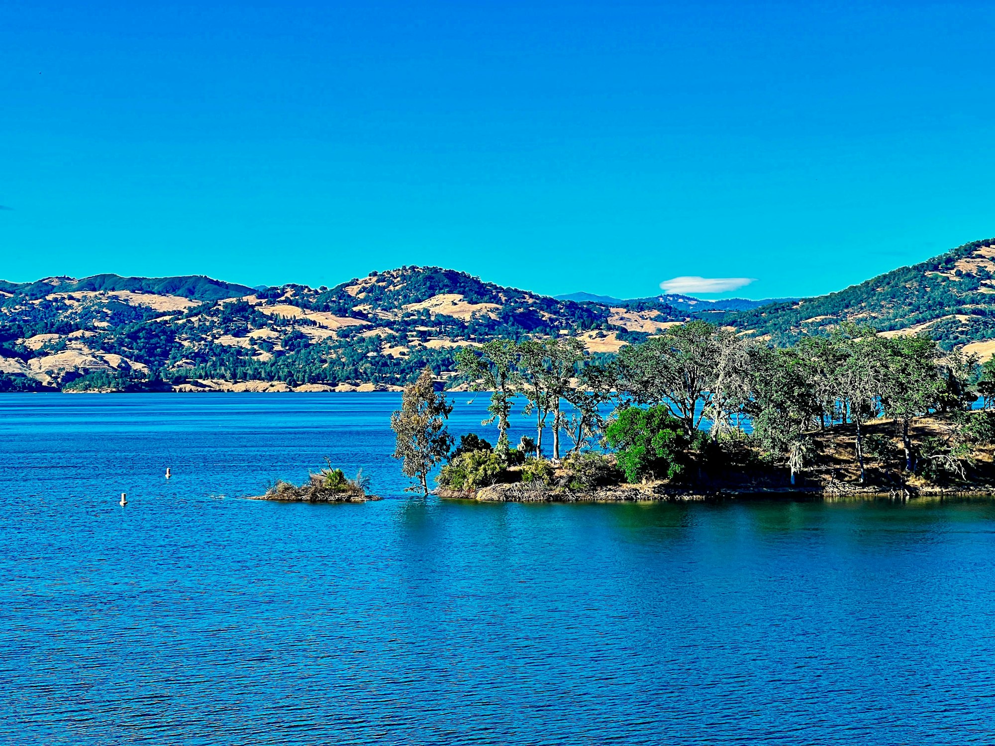 Lake Mendocino on June 16, 2024 by CJ Watt