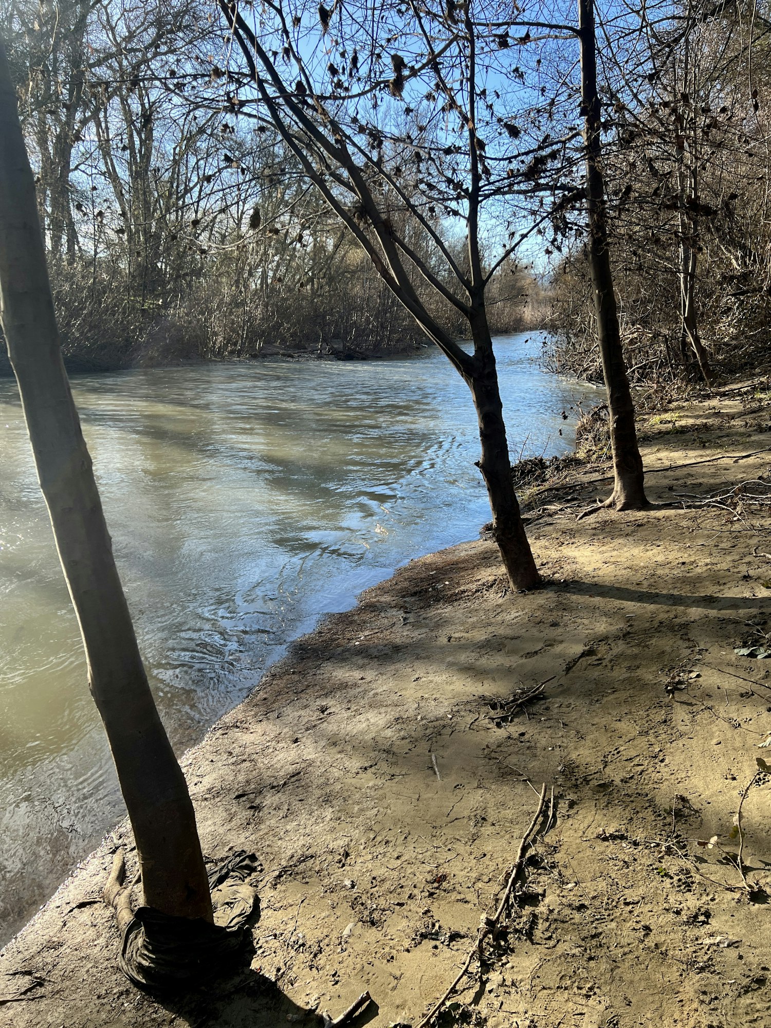 Russian River at Riverside Park, January 2026 by CJ Watt