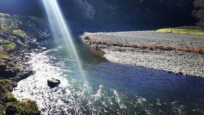 A serene river scene with sunlight reflecting on the water, rocky banks, and lush greenery. Calming and picturesque nature.