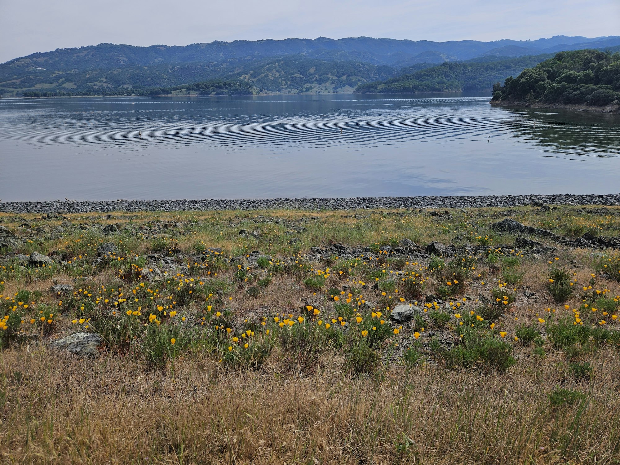 Lake Mendocino on March 29, 2026 by E Salomone