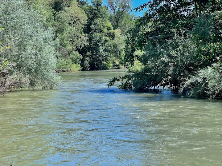 Russian River flowing just after the confluence with Morrison Creek. Picture taken on June 16, 2023 by CJ Watt