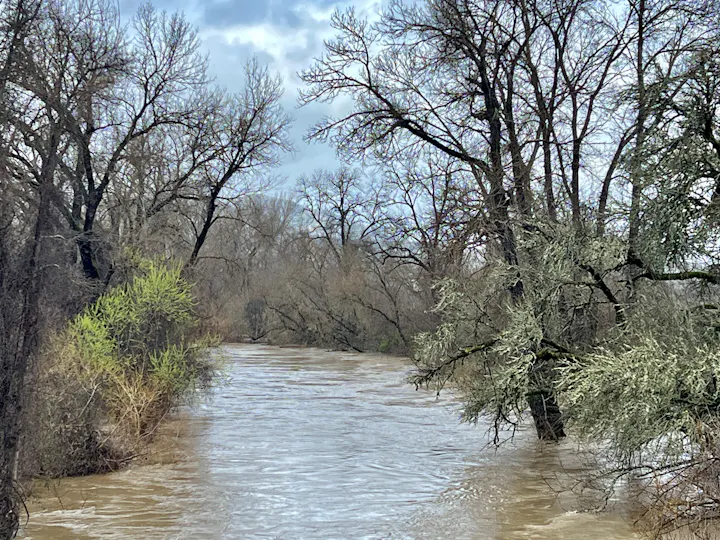 Russian River at Hopland on February 19, 2024 by CJ Watt