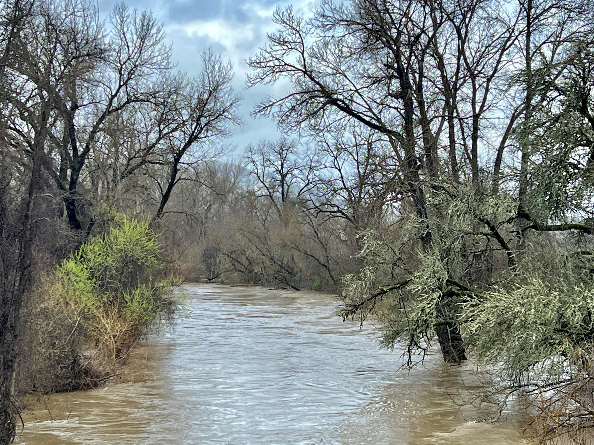 Russian River at Hopland on February 19, 2024 by CJ Watt