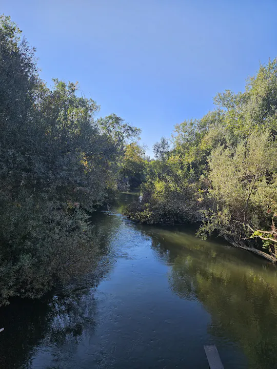 Russian River nr Pieta Creek, October 2024 by E Salomone