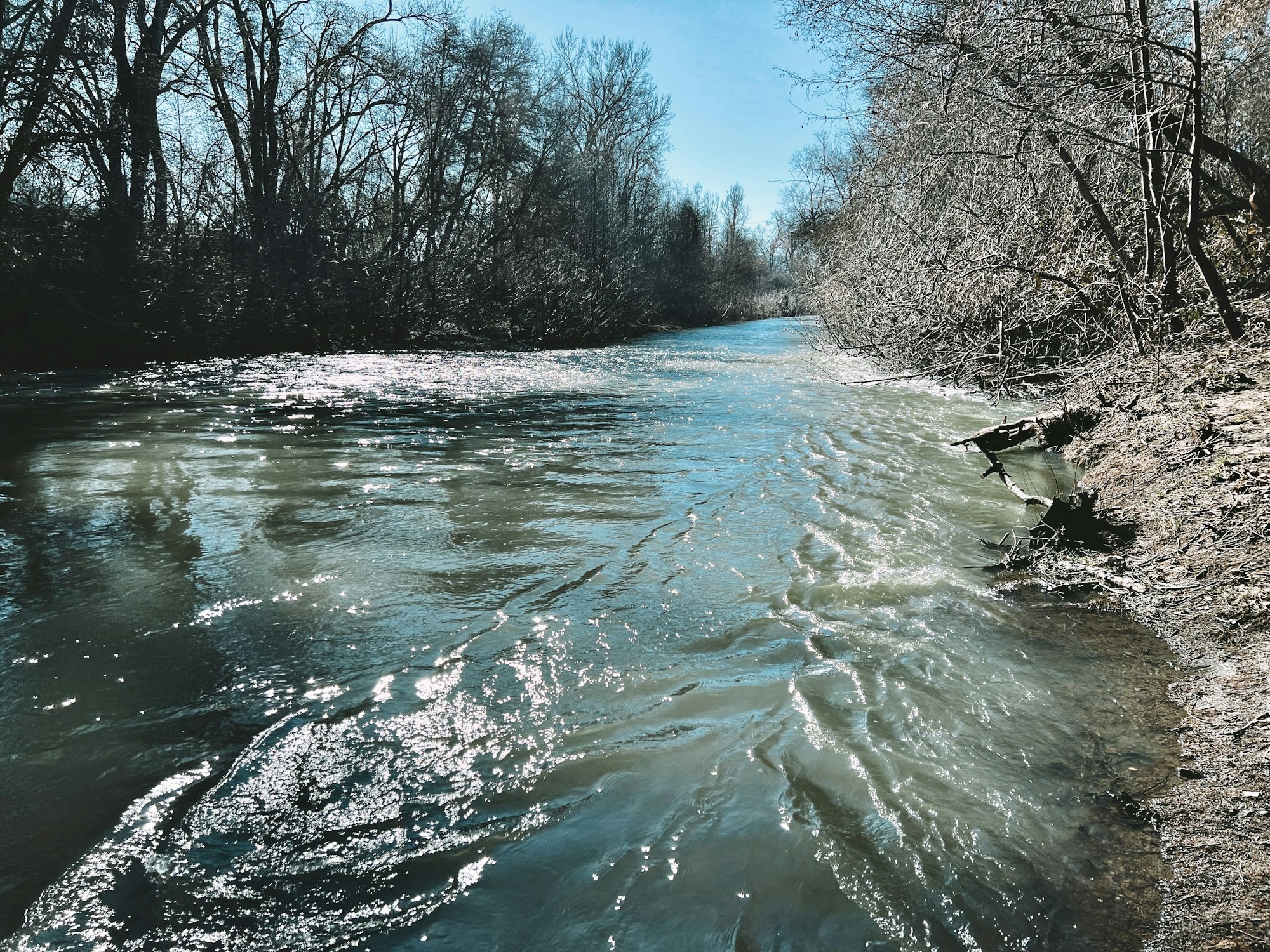 Russian River at Riverside Park, January 2025 by CJ Watt