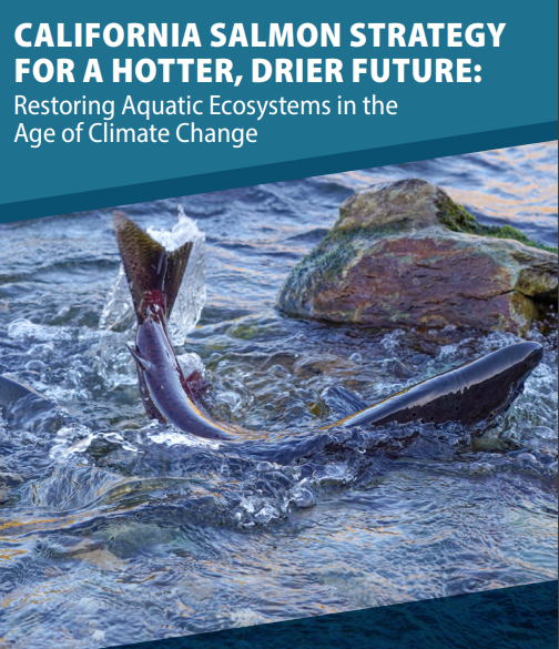2024 CA Salmon Strategy for Hotter, Drier Future report