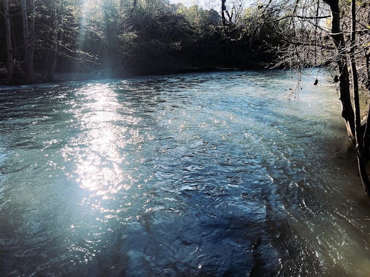 Russian River at Riverside Park, March 2024 by CJ Watt