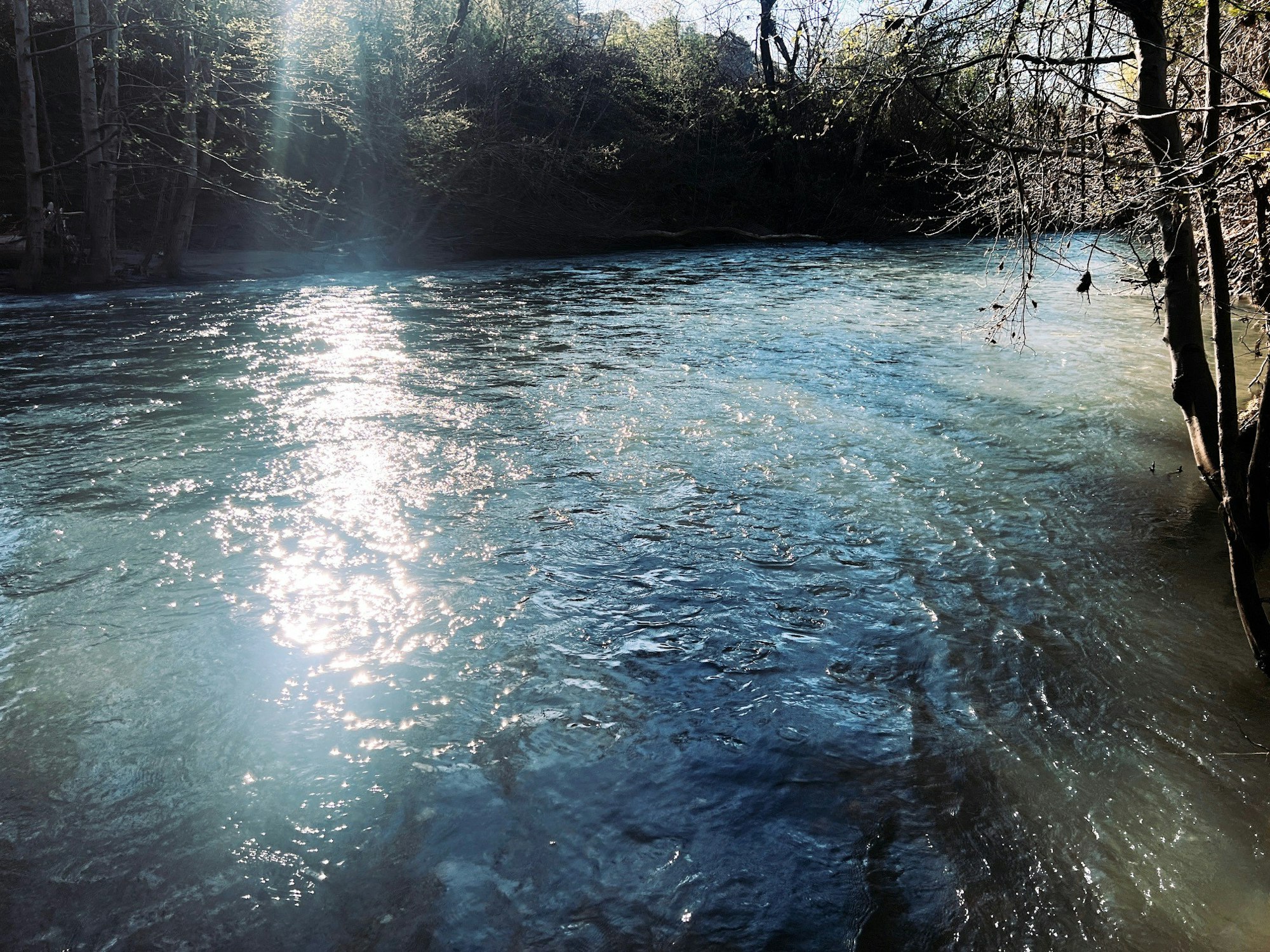 Russian River at Riverside Park, March 2024 by CJ Watt