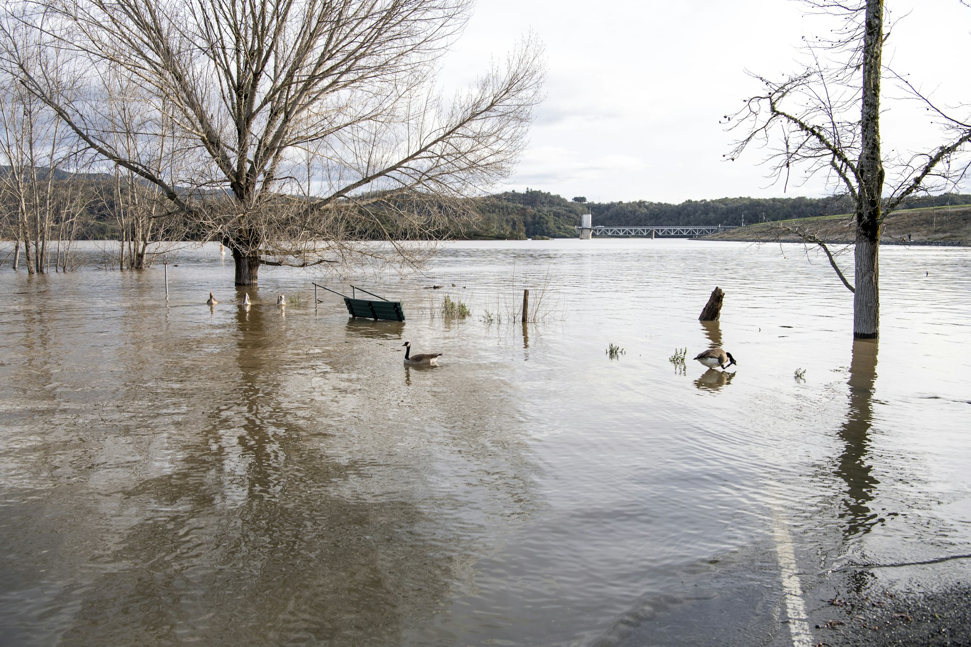 Lake Mendocino, flooded parking lot at south boat ramp on Jan 16, 2023, by Kenneth James, DWR