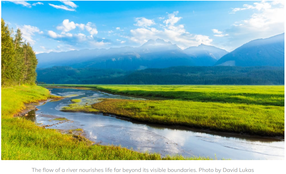 A meandering river through grasslands with mountains in the backdrop.